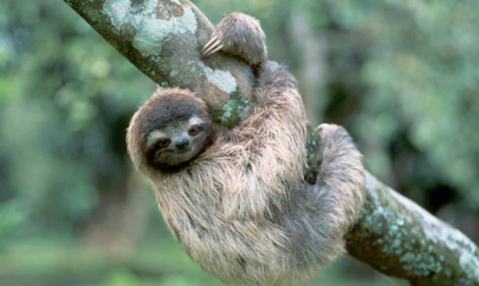 תיק 2020 by shmuel ungar - Illustrated by  שמואל אונגר - Ourboox.com