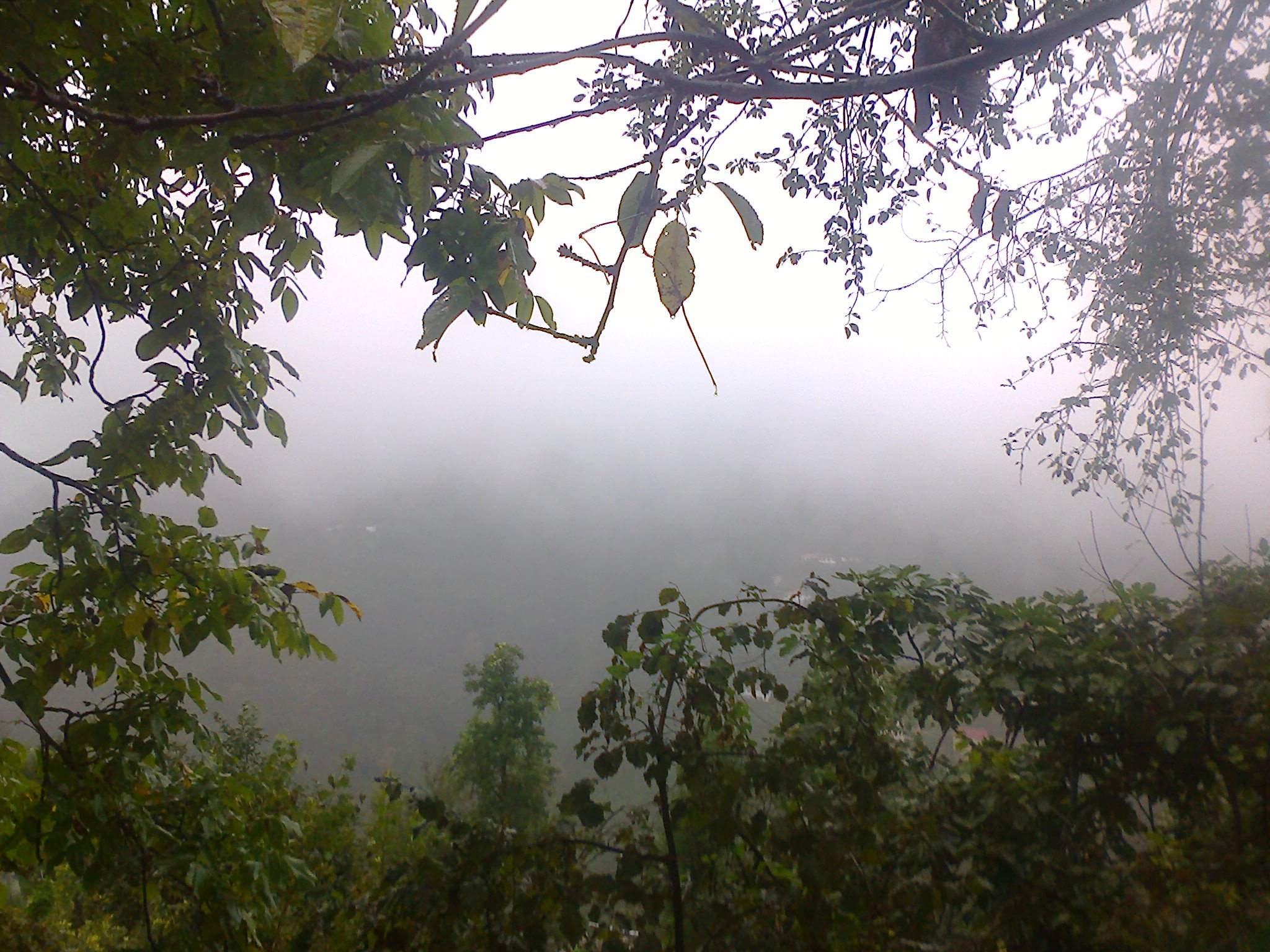 -COLOURS of AUTUMN- by Kbb - Illustrated by This book includes an excited and a happy group who was in "Colours of Autumn" Project. - Ourboox.com