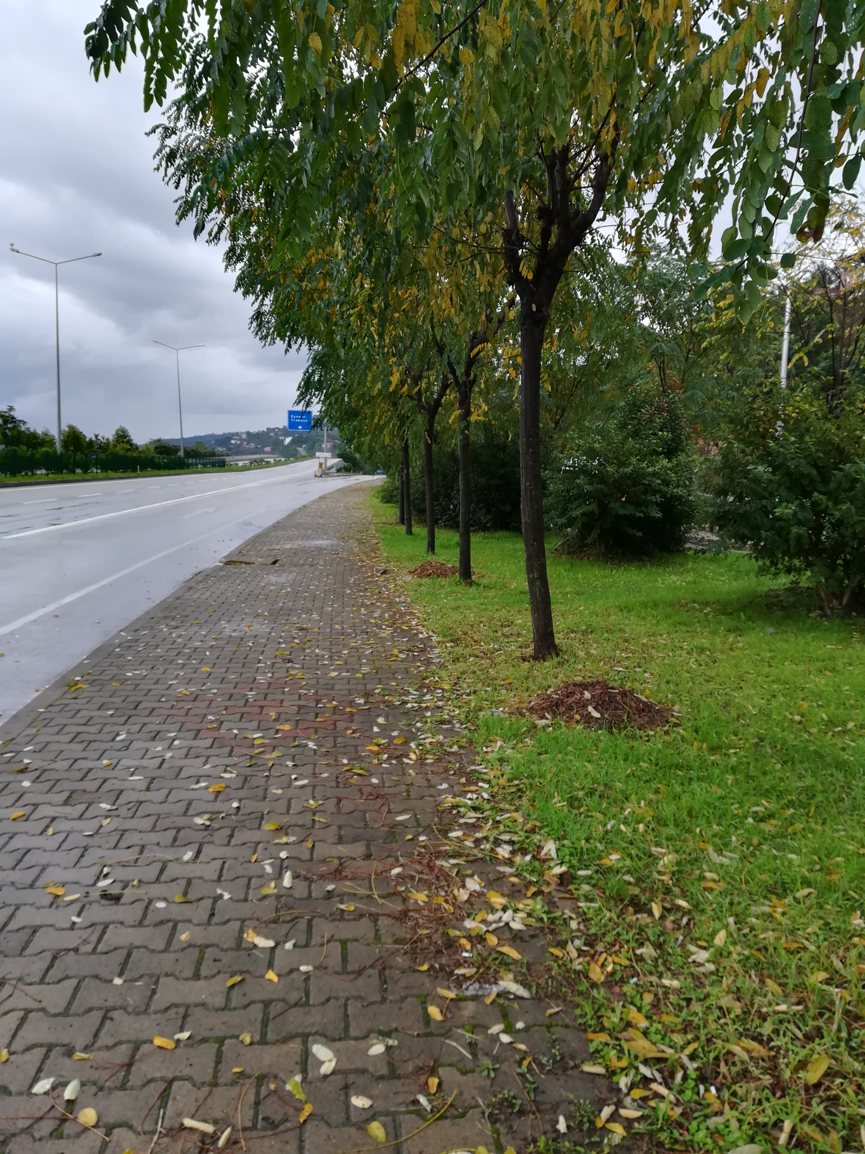 -COLOURS of AUTUMN- by Kbb - Illustrated by This book includes an excited and a happy group who was in "Colours of Autumn" Project. - Ourboox.com