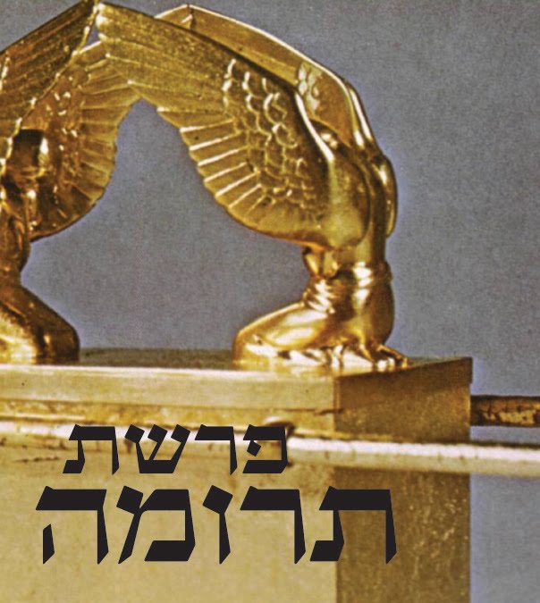 מסע אל הדרשה by idan einey - Illustrated by עידן עיני - Ourboox.com