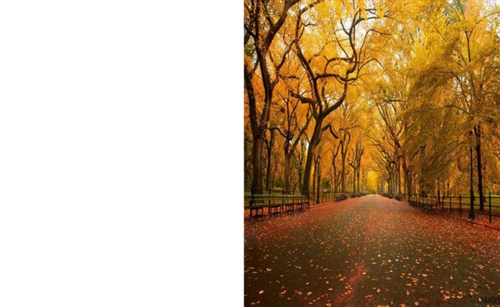 השתלמות בשלומי by noor - Ourboox.com