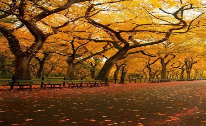 השתלמות בשלומי by noor - Ourboox.com