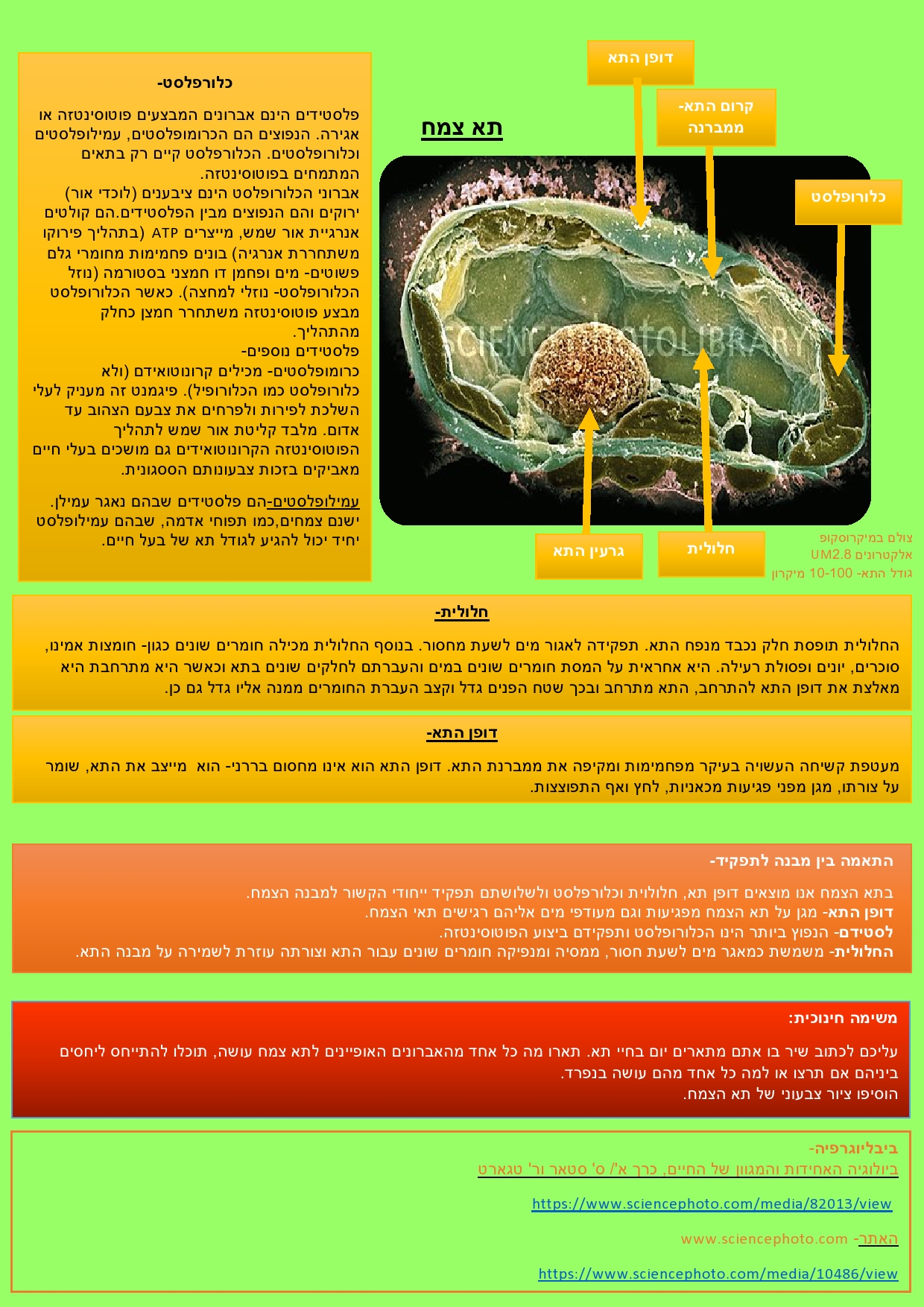 תאים להכיר by daniel valency - Ourboox.com
