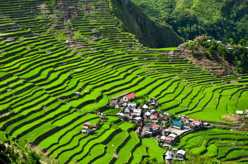 ألمدرجات ألرزاعية by hadeel - Illustrated by هديل احمد زيدان  - Ourboox.com