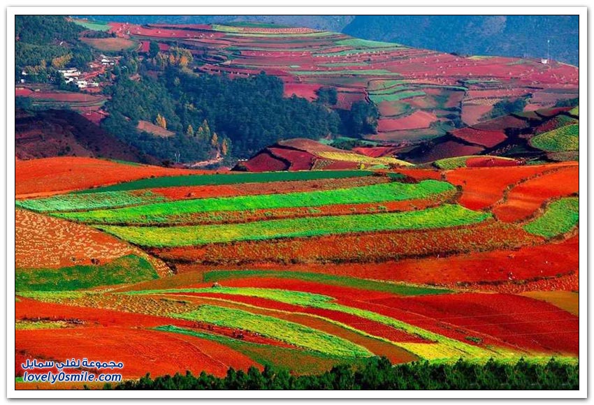 ألمدرجات ألرزاعية by hadeel - Illustrated by هديل احمد زيدان - Ourboox.com