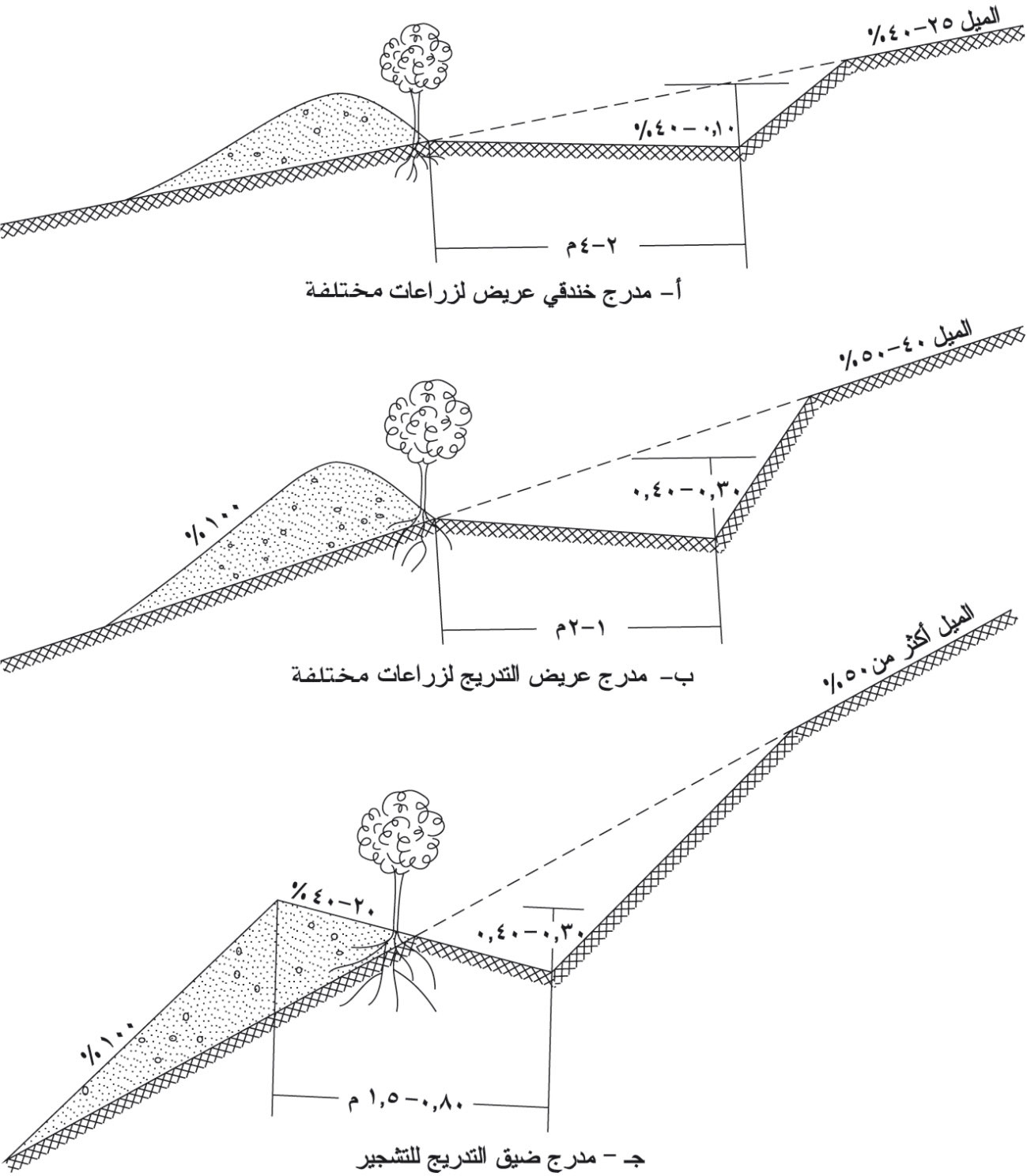 ألمدرجات ألرزاعية by hadeel - Illustrated by هديل احمد زيدان - Ourboox.com