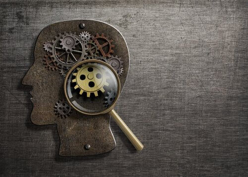 I processi cognitivi:memoria,linguaggio e intelligenza by habdul - Ourboox.com