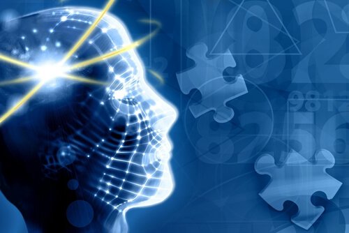 Alcuni processi cognitivi: memoria, linguaggio, pensiero ed intelligenza by Gaia Cupitò - Ourboox.com