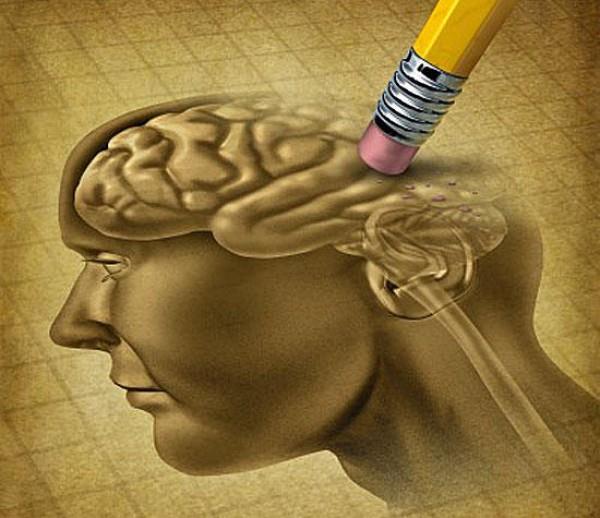 i processi cognitivi: memoria, intelligenza e linguaggio by Sara Trevisani - Ourboox.com