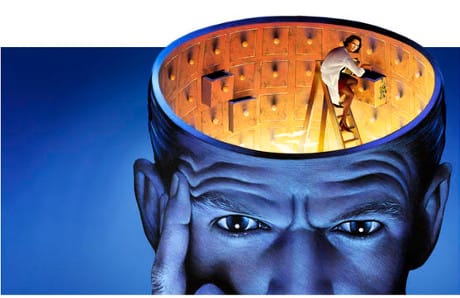 i processi cognitivi: memoria, intelligenza e linguaggio by Sara Trevisani - Ourboox.com