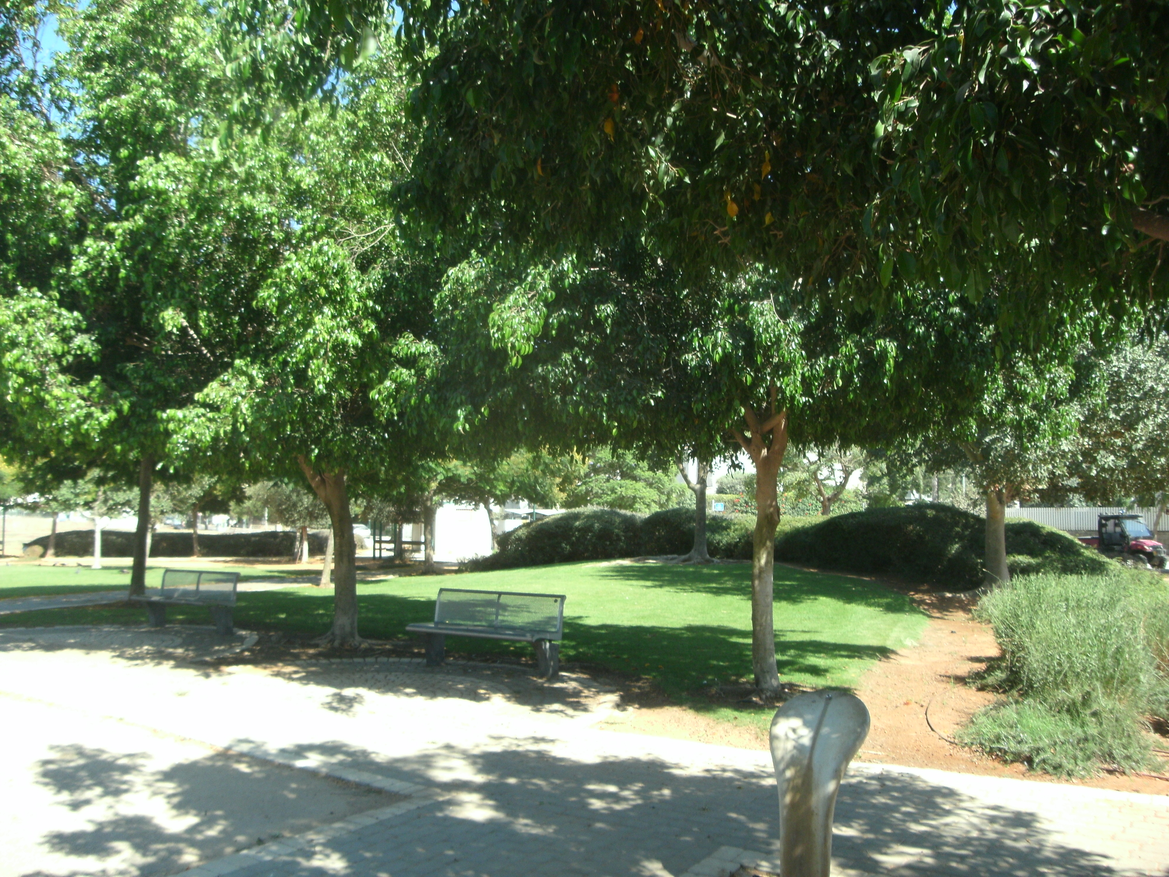 ספסל משאיר זכרון by amirim - Ourboox.com