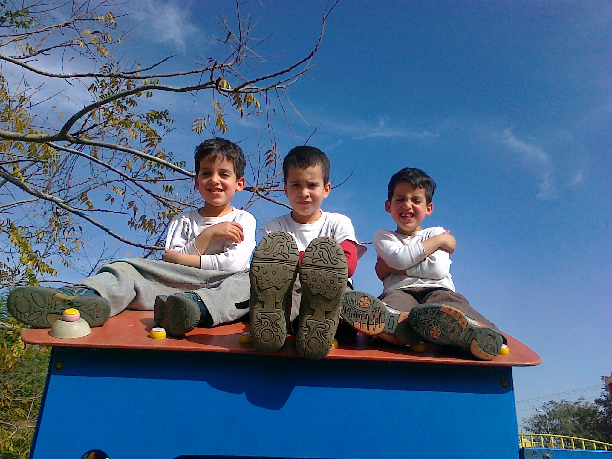 שורשים by ido latz - Ourboox.com