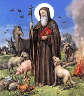 I MONASTERI by nicole ferrante - Illustrated by Nicole - Ourboox.com