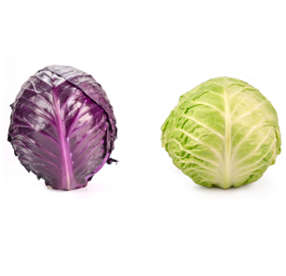 גן ירק by chaim shindel - Illustrated by chaim shindel - Ourboox.com