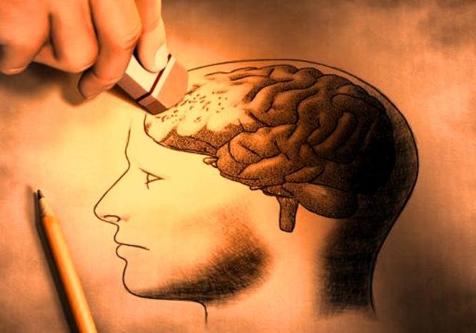 I processi cognitivi: memoria, linguaggio e intelligenza by Giulia - Ourboox.com