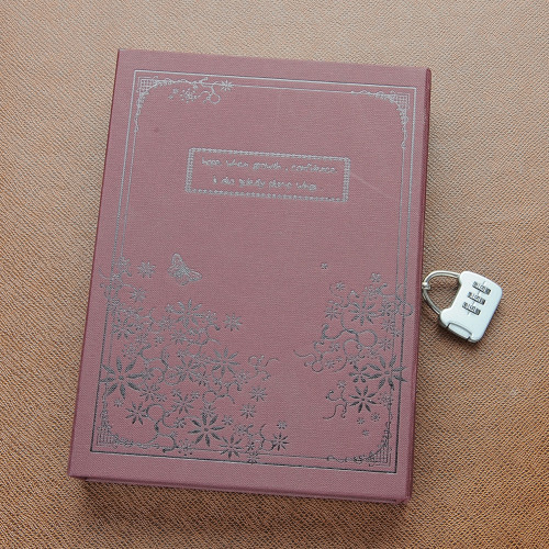 Chris’s diary by yoav schur - Ourboox.com