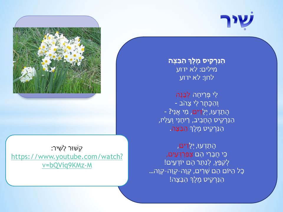 פרחי חורף by סיסמה לכל תלמיד - Ourboox.com