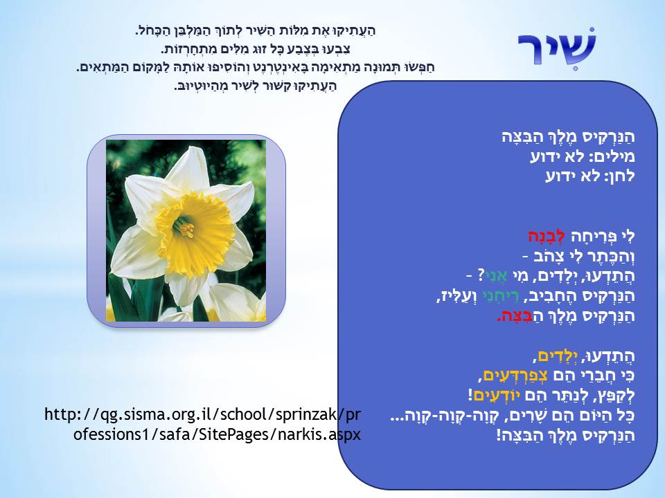 פרחי חורף by סיסמה לכל תלמיד - Ourboox.com