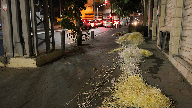 (מקץ עשרים שנה (עבודה בספרות by ariel - Ourboox.com