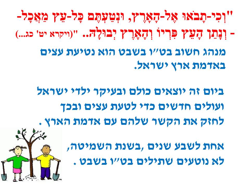 ט”ו בשבט by סיסמה לכל תלמיד - Ourboox.com