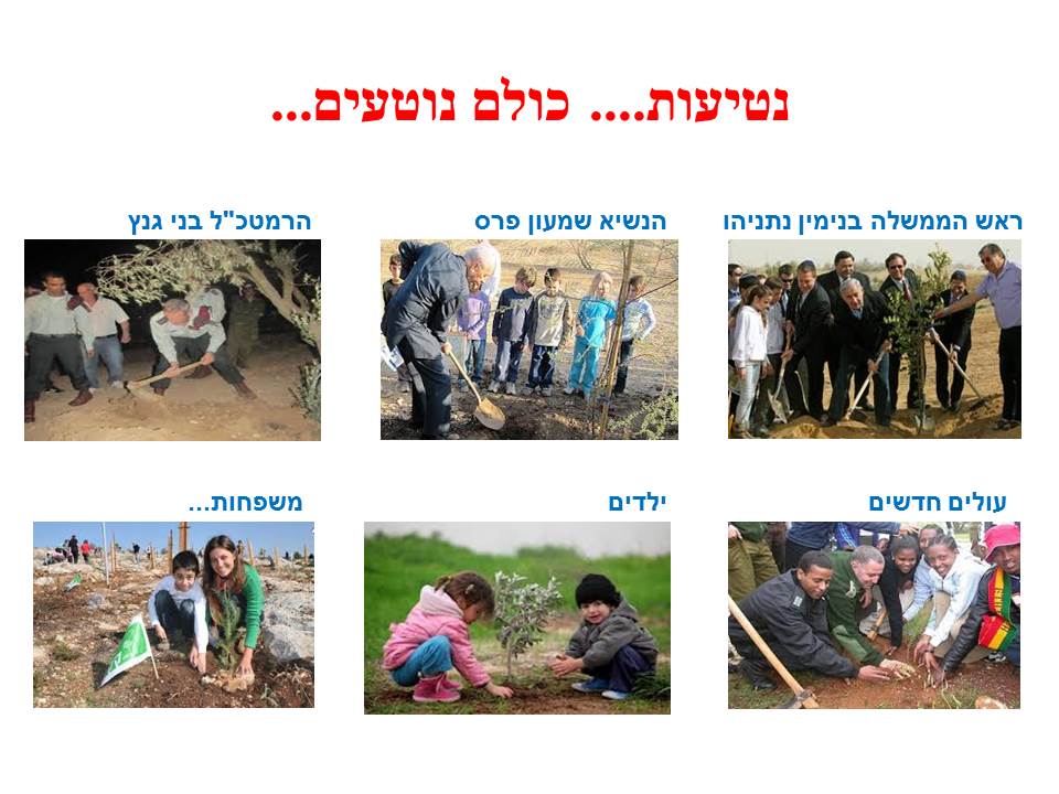 ט”ו בשבט by סיסמה לכל תלמיד - Ourboox.com