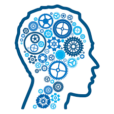 i processi cognitivi:memoria,linguaggio,pensiero , ragionamento e intelligenza by MAROUANE - Ourboox.com