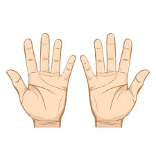 My Body by Yarden - Ourboox.com