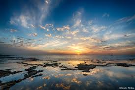 הדיל סוב לבן