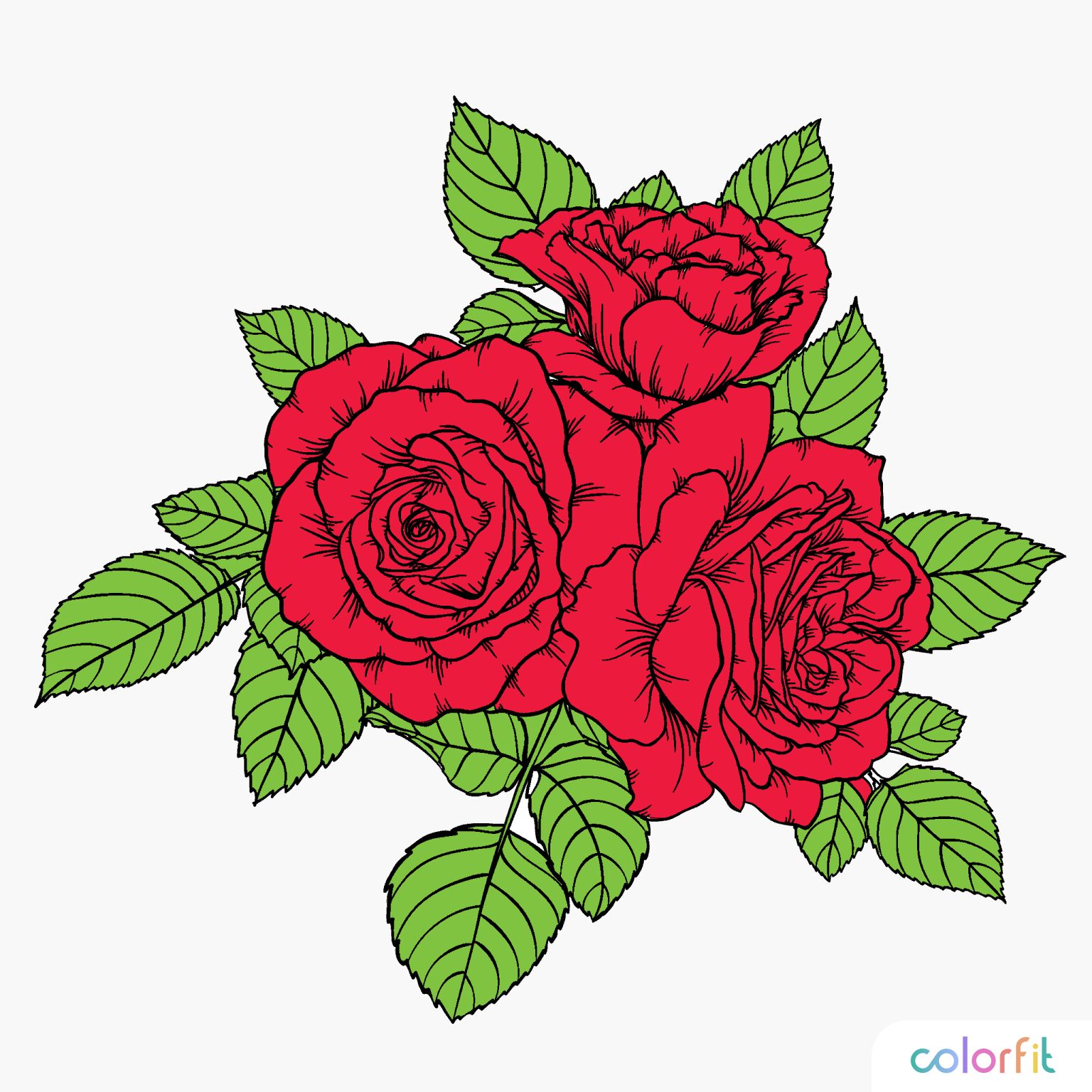 anım by seher an - Ourboox.com