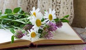 kız isteme by zeynoomrum - Ourboox.com