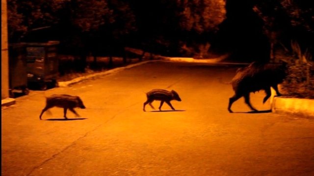 Doğa ile Başbaşa by hakan ibili - Ourboox.com