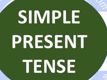 Present simple by Jehan - Illustrated by Jehan - Ourboox.com