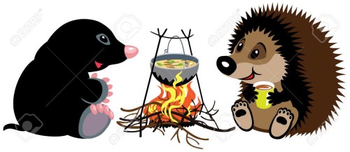 kamp gezisi by seyide - Ourboox.com