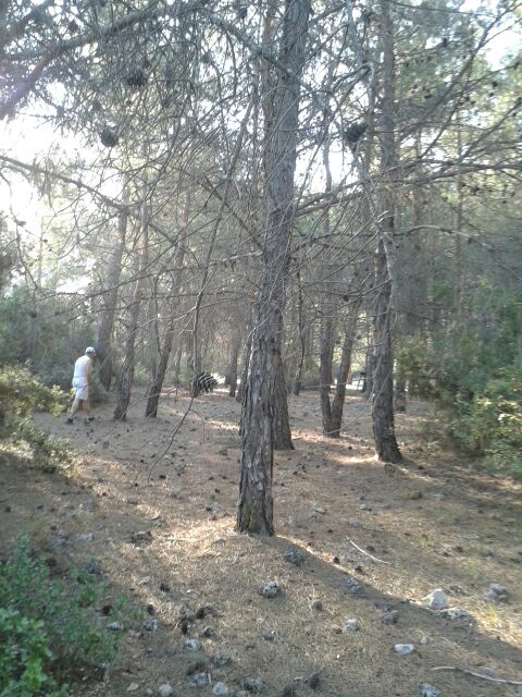 seasons by HalimecAN - Ourboox.com