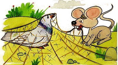 الحمامة المطوقة by safa abo snenh - Ourboox.com