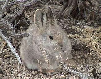 Цікаві факти by Olja Andrejhyk - Ourboox.com