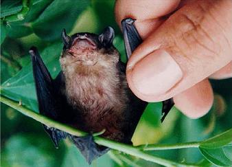 Цікаві факти by Olja Andrejhyk - Ourboox.com