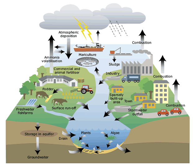 SAVE THE PLANET by Sladjana - Ourboox.com
