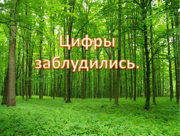 История о том как цифры потерялись в лесу by Стасюкевич Оксана Дмитриевна - Ourboox.com