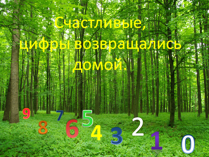 История о том как цифры потерялись в лесу by Стасюкевич Оксана Дмитриевна - Ourboox.com