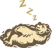 All About Hibernation by Roxana Gurrola - Ourboox.com