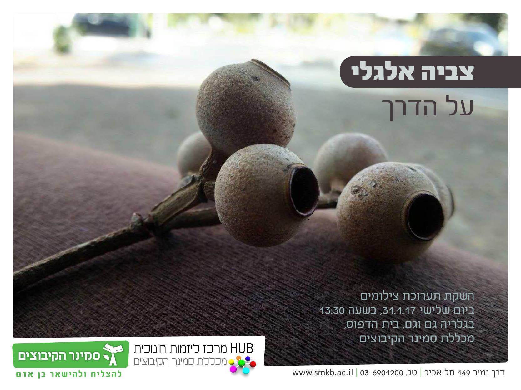 מזל טוב צביה אהובה (פברואר 2017) by Betty - Ourboox.com