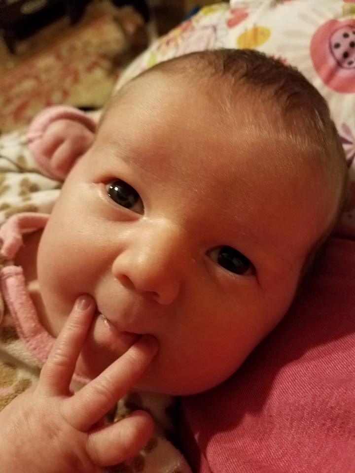 Selah’s Baby Book by Blake Fahrenholtz - Ourboox.com