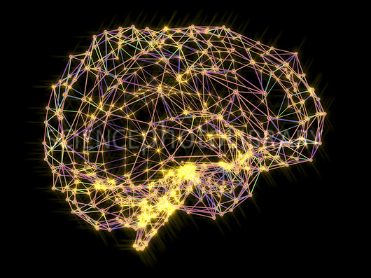 התאים שאהבתי by נרדין אחמד - Ourboox.com