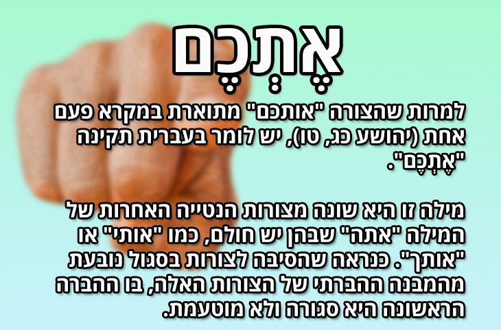 עברית שפה יפה by nirit soffer - Illustrated by נירית סופר - Ourboox.com