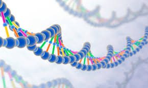 PBLלמידה דרך by rana - Ourboox.com