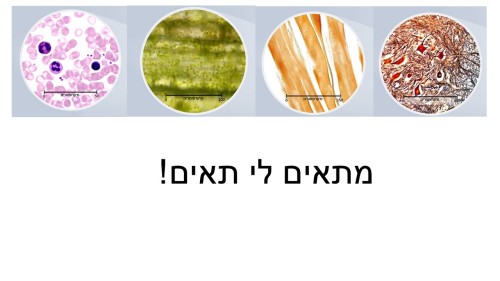 מתאים לי תאים by orly shenhav - Ourboox.com