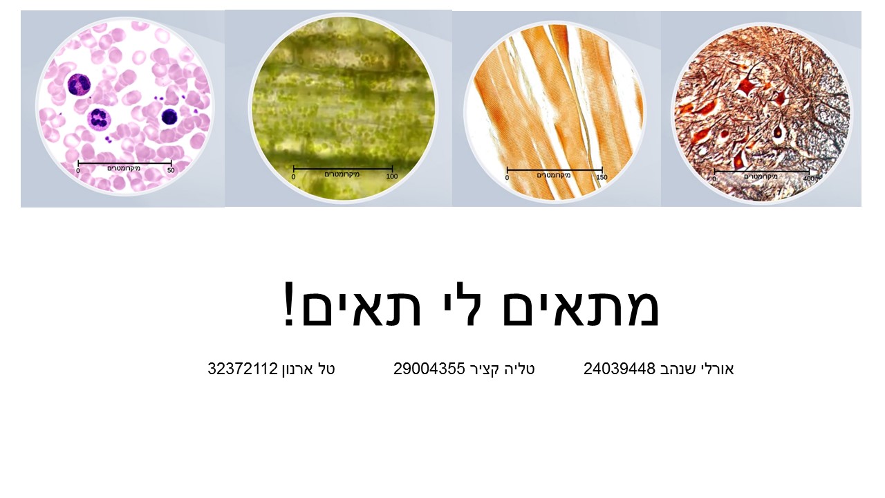מתאים לי תאים by orly shenhav - Ourboox.com