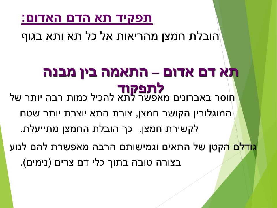 מתאים לי תאים by orly shenhav - Ourboox.com