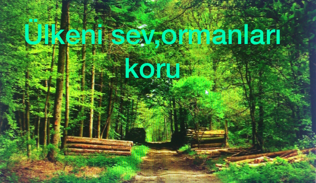 ORMAN HAFTASI by osman eren - Ourboox.com